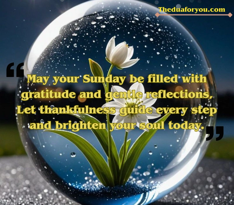 Thankful Sunday Blessings Quotes