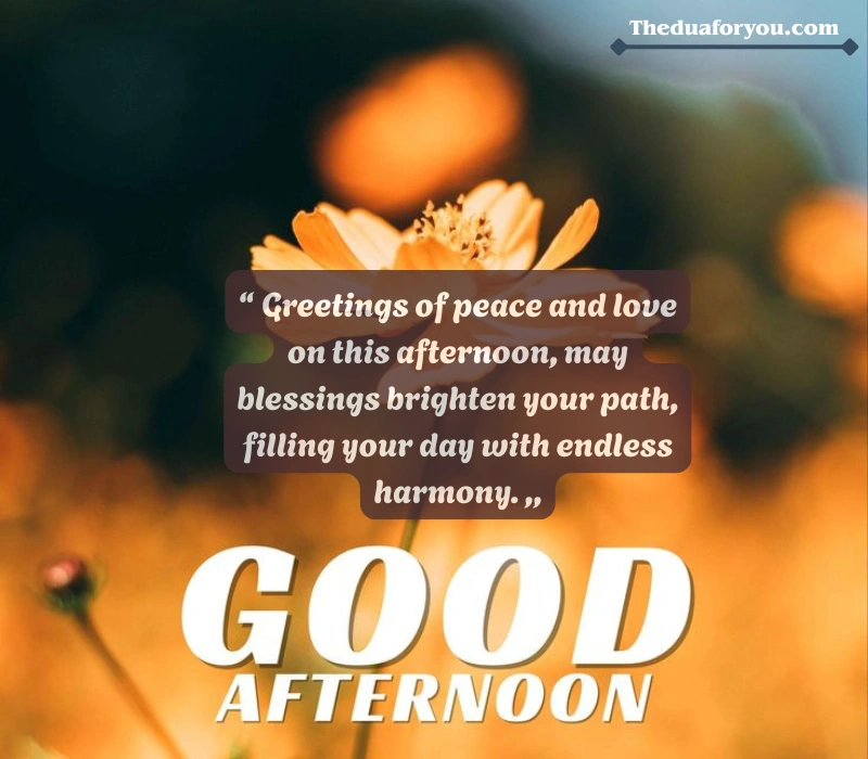 Greetings Good Afternoon Blessings